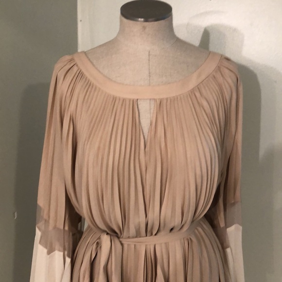 Beautiful BCBGMaxAzria Dress - Picture 2 of 6